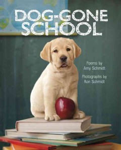 Dog-gone school  Cover Image