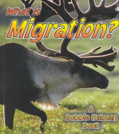 What is migration?  Cover Image