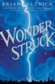 Go to record Wonderstruck : a novel in words and pictures