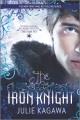 Go to record The Iron Knight