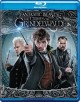 Go to record Fantastic beasts. The crimes of Grindelwald