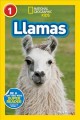 Go to record Llamas