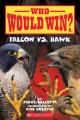 Go to record Falcon vs. hawk