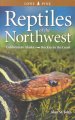 Go to record Reptiles of the Northwest