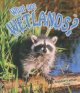 Go to record What are wetlands?