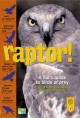 Go to record Raptor! : a kid's guide to birds of prey