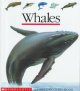 Go to record Whales