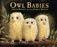 Go to record Owl babies