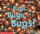 Go to record Bugs, bugs, bugs!