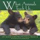 Go to record What pets teach us : life's lessons learned from our best ...