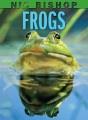 Go to record Frogs