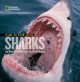 Go to record Face to face with sharks